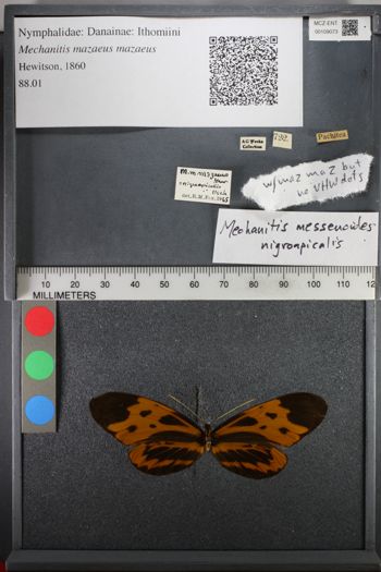 Media type: image;   Entomology 109073